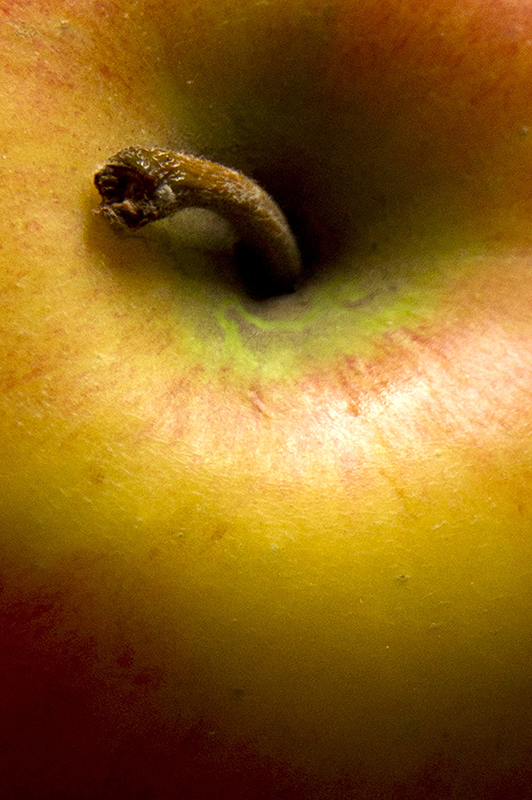 2012 Fruit